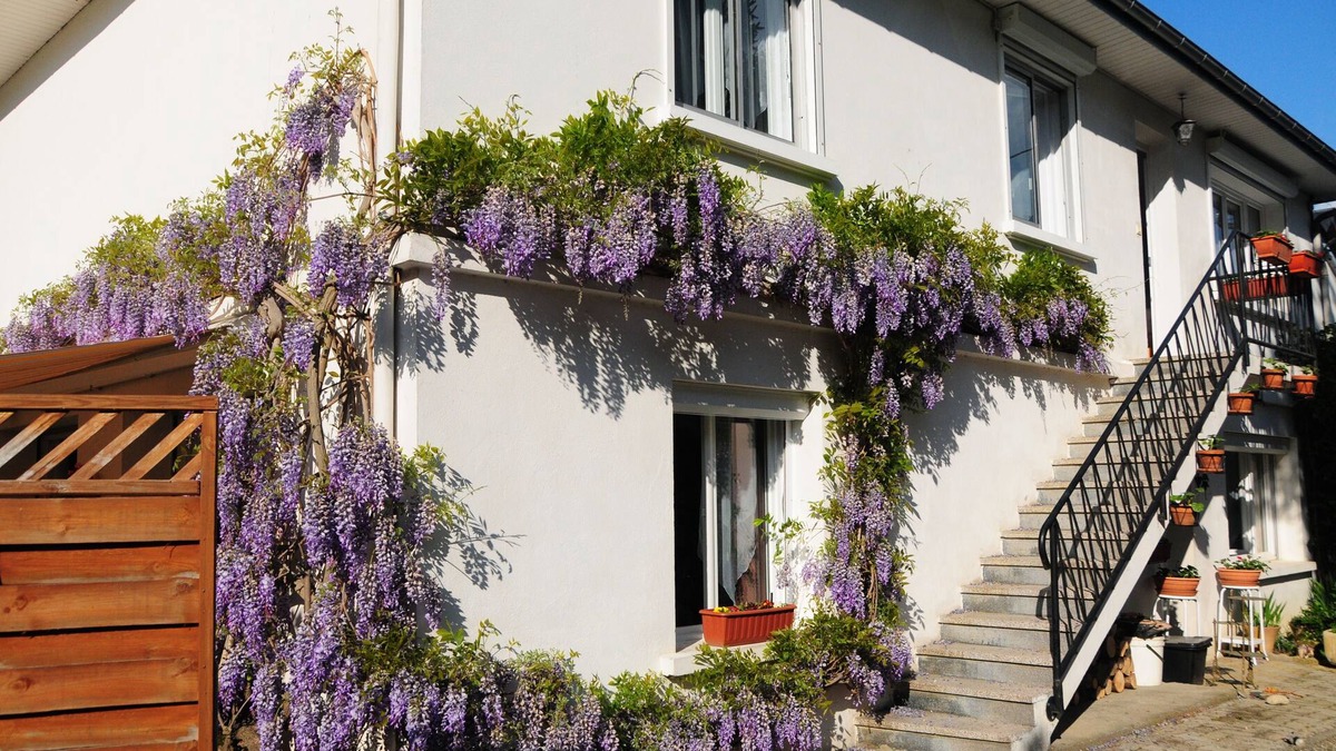 Lau-Balagnas Apartment | Luxurious 3 bedroom Apartment set in the heart of the Pyrenees.