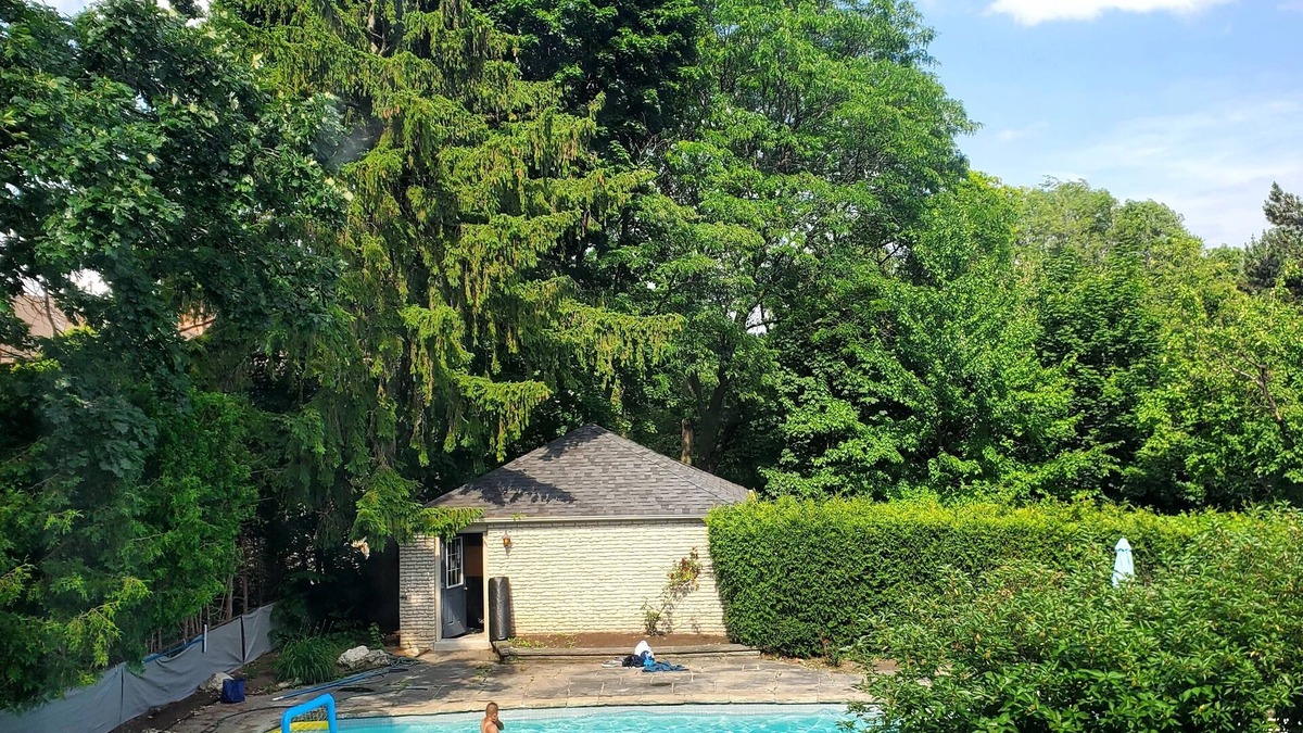 St. Andrew - Windfields House | luxurious house in the best neighborhood