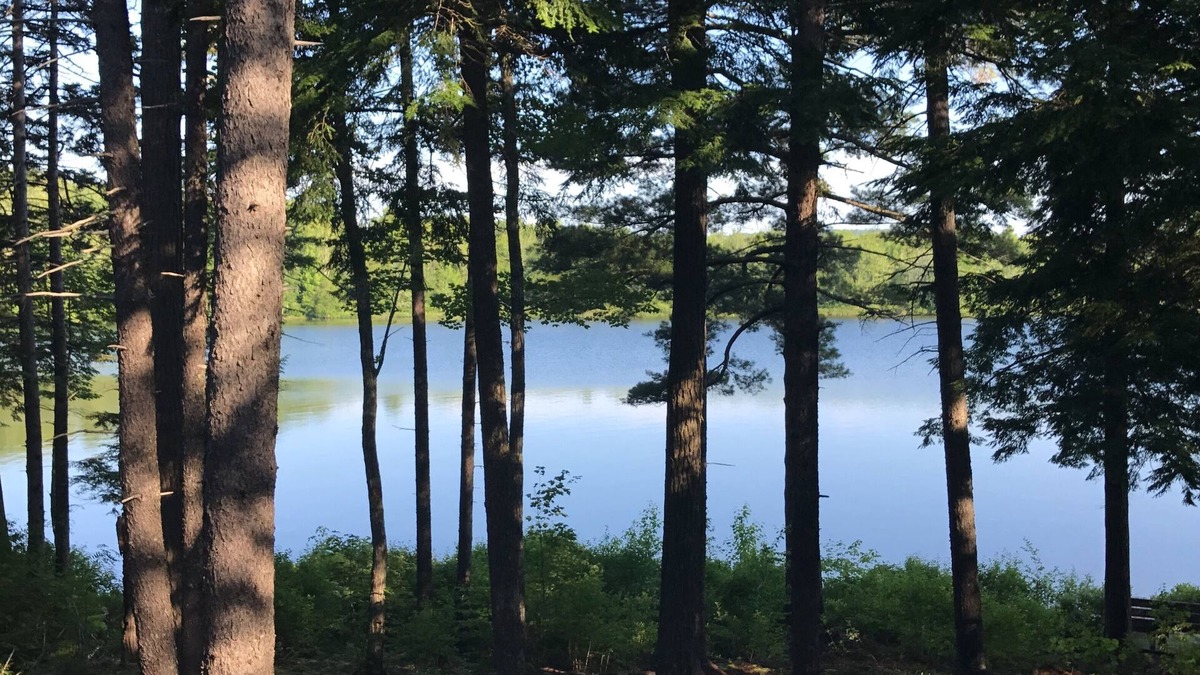 Ellsworth House | Luxurious Lake Camp! Near Bar Harbor and Acadia Nt'l Park