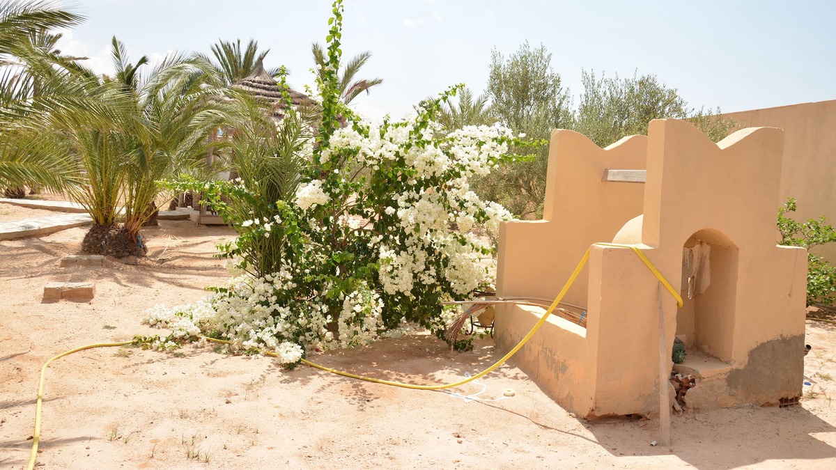 Mellita House | Luxurious riad