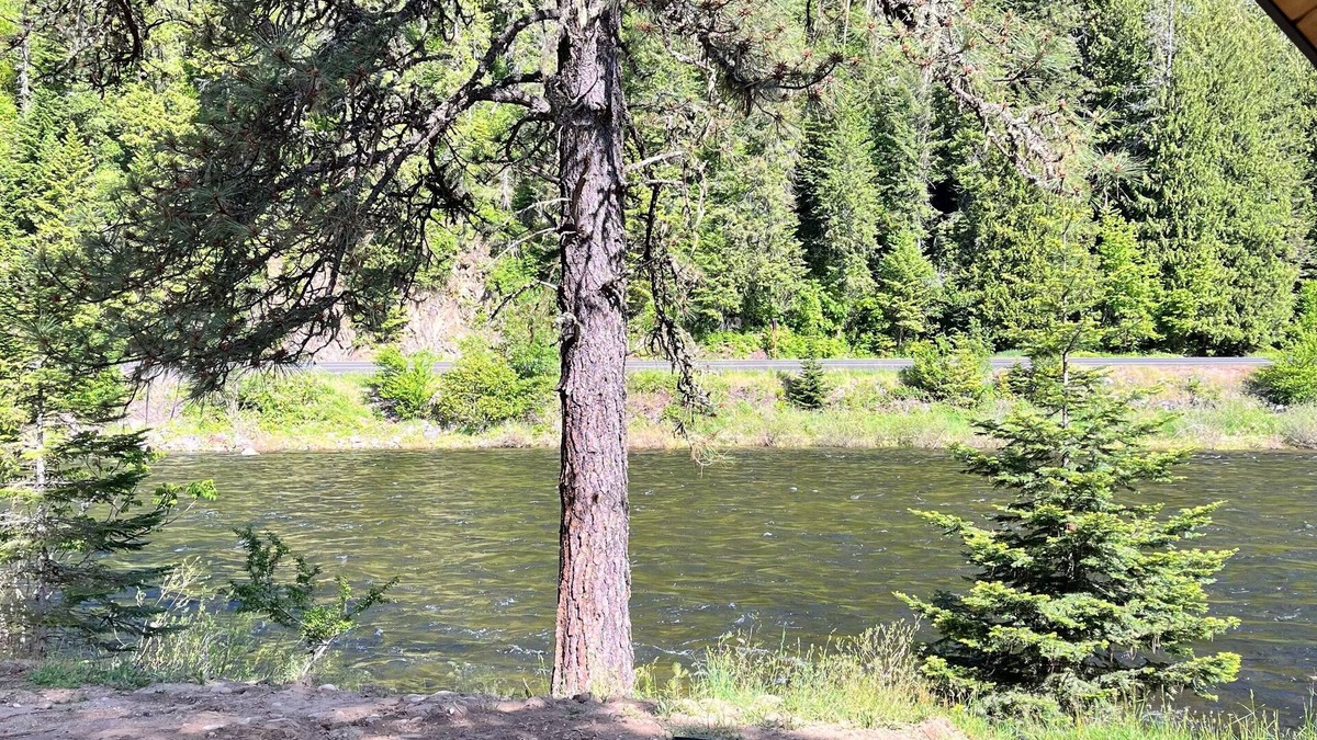 Lowell Cabin | Luxurious River Front Cabin
