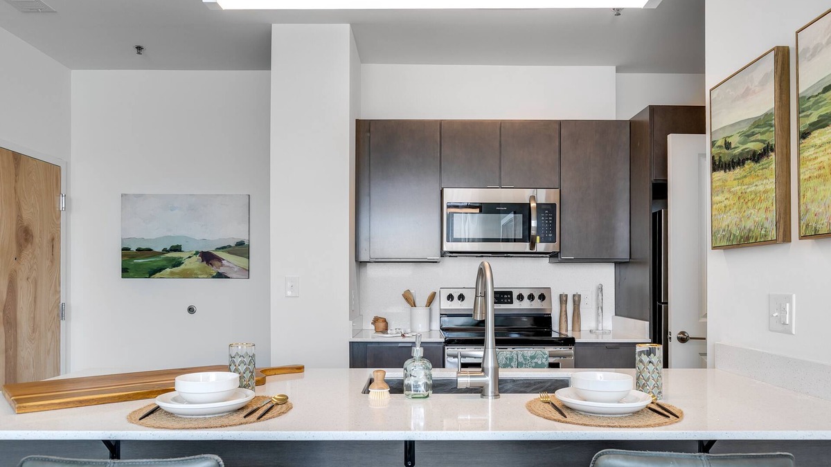 Museum District Apartment | Luxury 1 Bedroom Unit In Scotts Addition