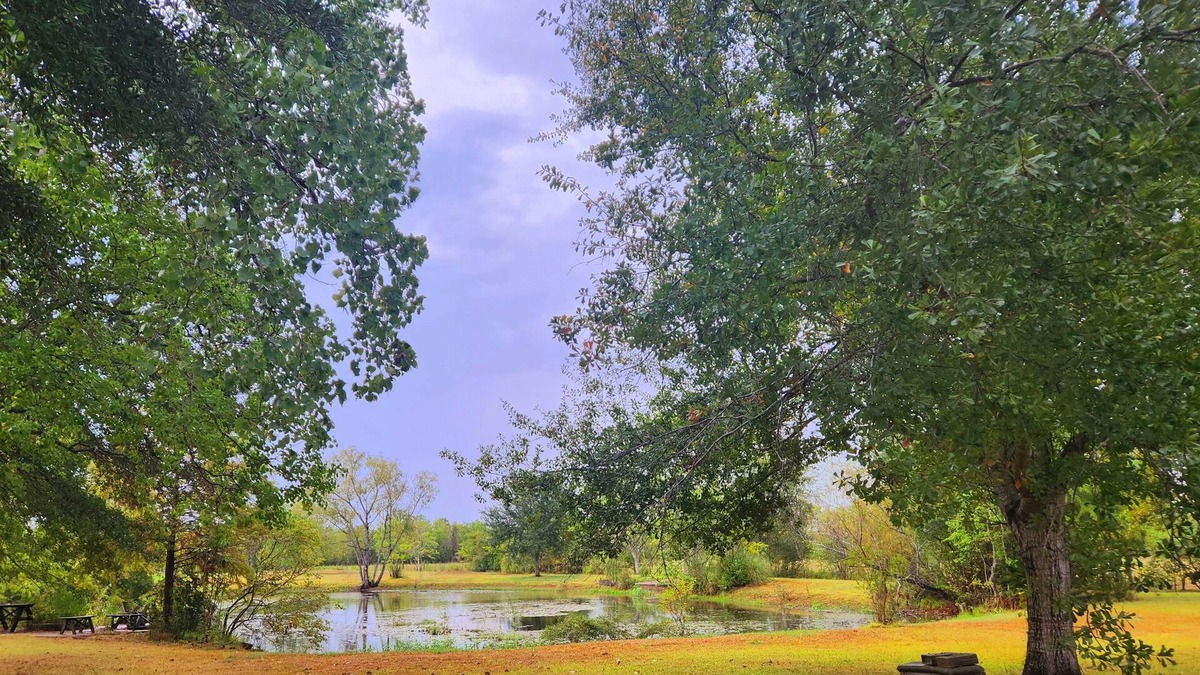 Pearland House | Luxury 5-acre 4BD private pool and own lake with fishing - sleeps 10