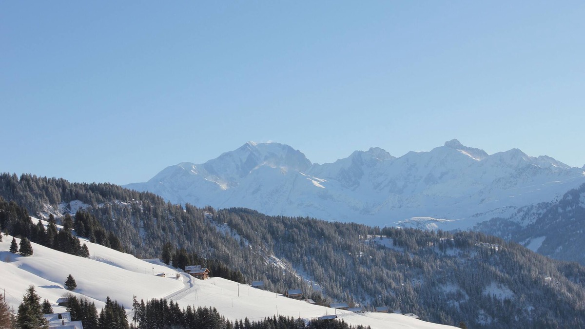 Bisanne 1500 Apartment | Luxury apartment at the foot of the slopes-swimming pool-garage