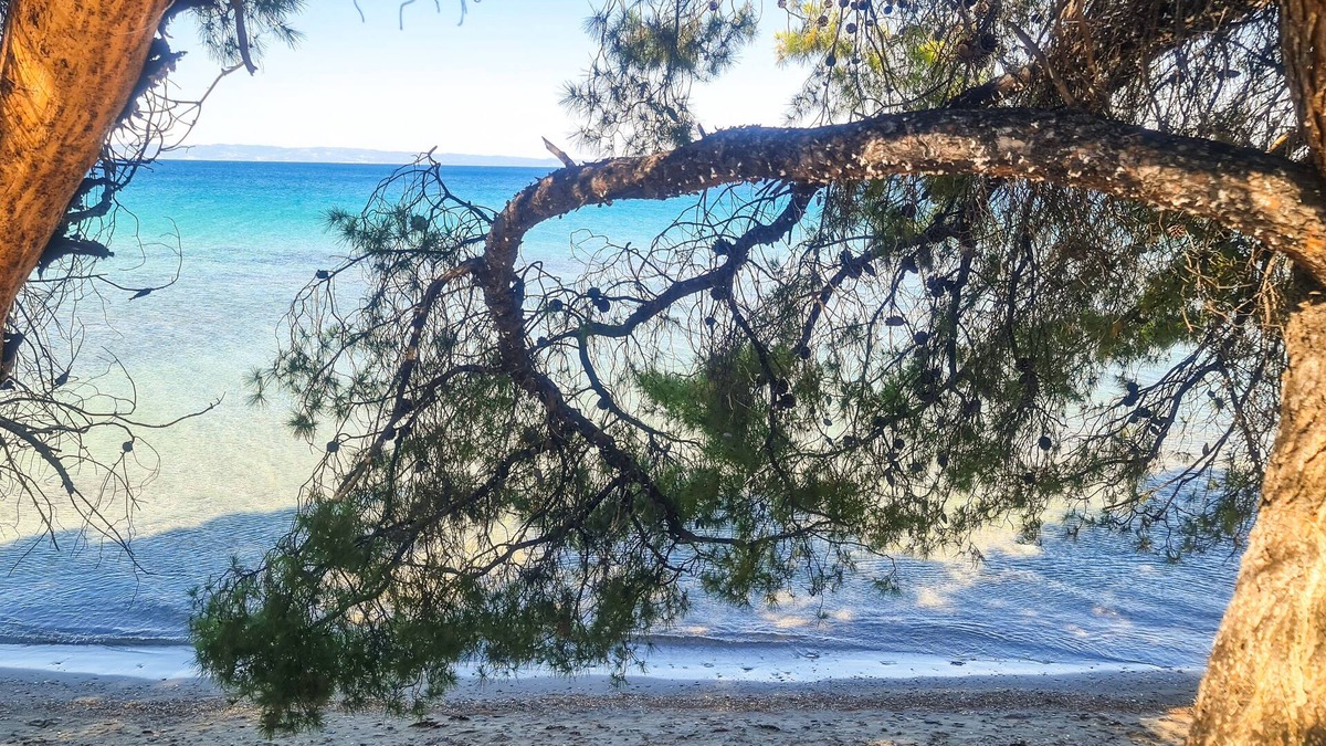 Elia Nikitis Apartment | Luxury Apartment in Akti Elias Sithonia