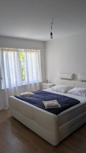 Allschwil Apartment | Luxury Apartment in very Good Location near Basel City
