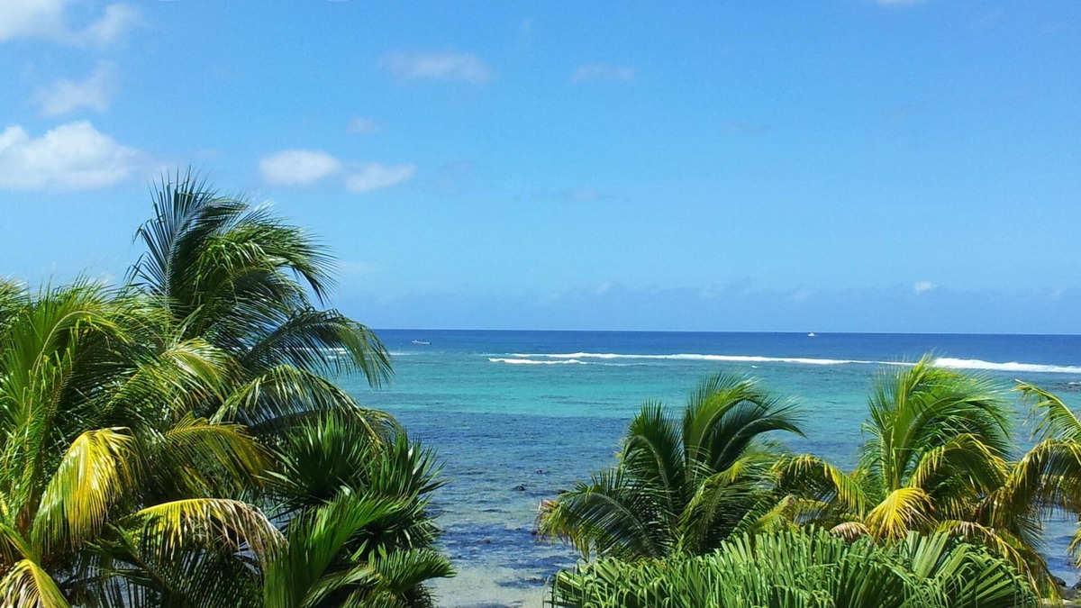 Morcellement Raffray Condo | Luxury Apartment on the beach at Albion.