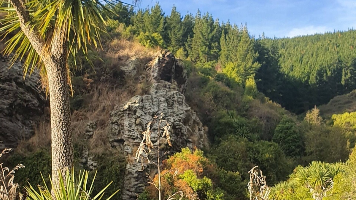 Tai Tapu House | Luxury Apartment Retreat in Stunning Nature Paradise.