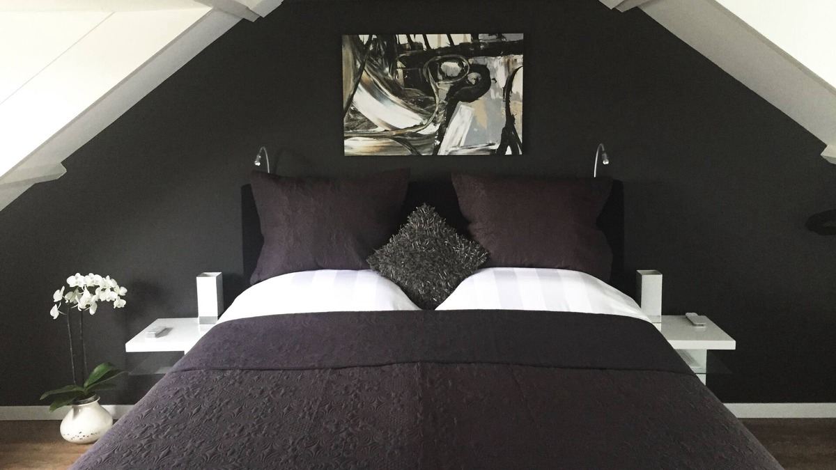 Hoofddorp Bed & Breakfast | Luxury attic with private kitchen, toilet, bath, breakfast & Netflix near Schiphol