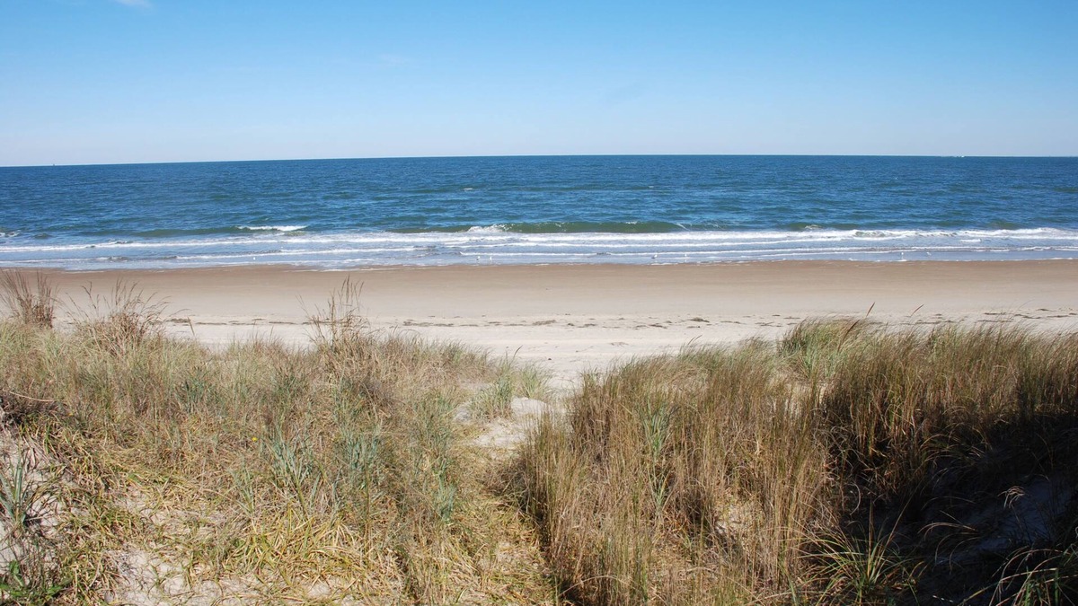 Cottage Line House | Luxury Beach Side Home 2 Bedroom Home by RedAwning