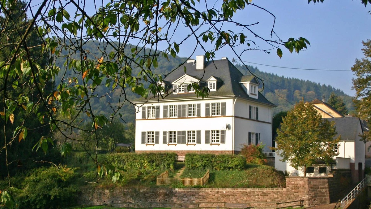 Malberg Villa | Luxury country house with whirlpool, saunas, billiards and cinema in a beautiful area