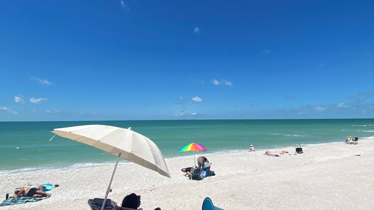 Bearss Plaza Apartment | Luxury, cozy, and Charming studio with WiFi and AC in brilliant Tampa