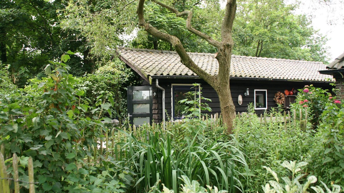 Schoorl House | Luxury detached 2-person bungalow on a main road in a wooded area