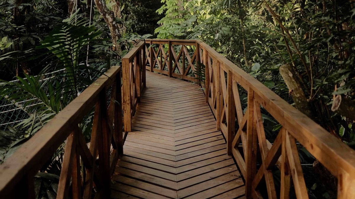 Teakettle Village Resort | Luxury Eco Jungle View Cabana