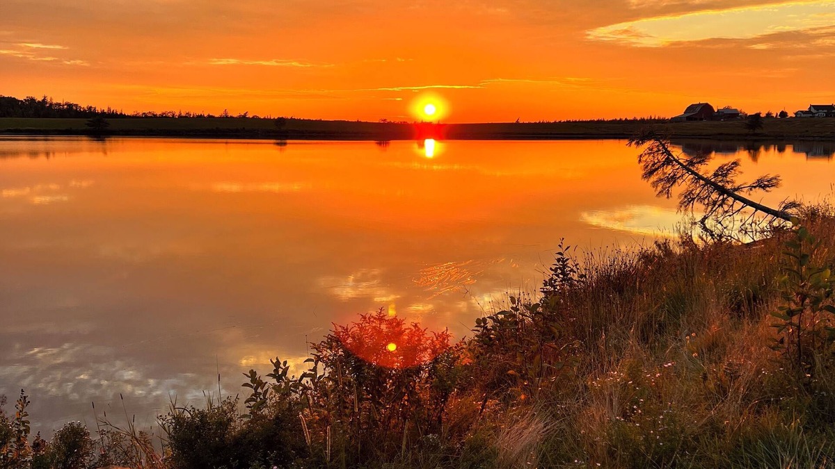 Halifax County Cottage | Luxury Farmstaycation - The Moose River Cottage at Lindsay Lake Farms
