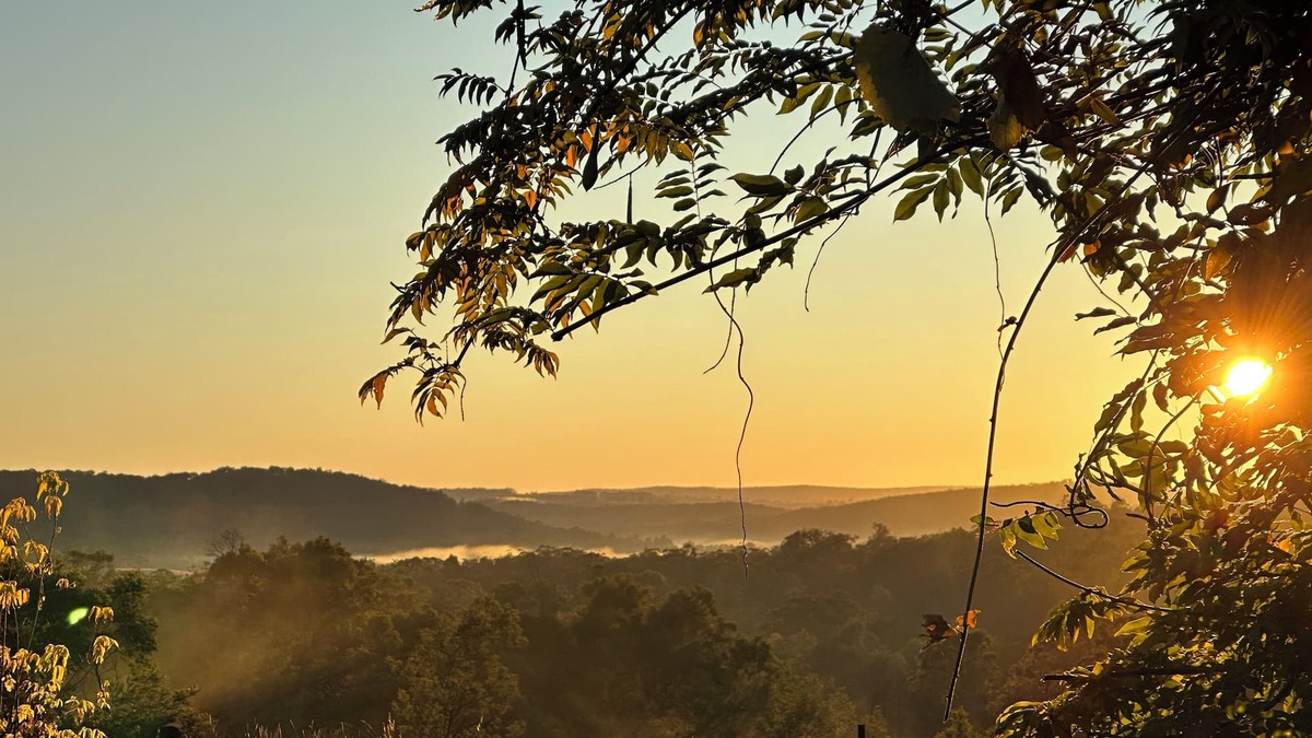 Middle Arm Other | Luxury Farmhouse Getaway - Only 2hrs From Sydney