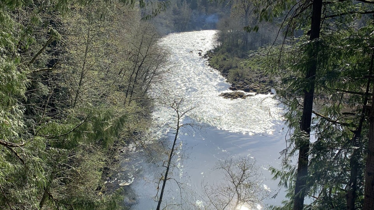 Gates House | Luxury Fishing Cabin on the North Santiam