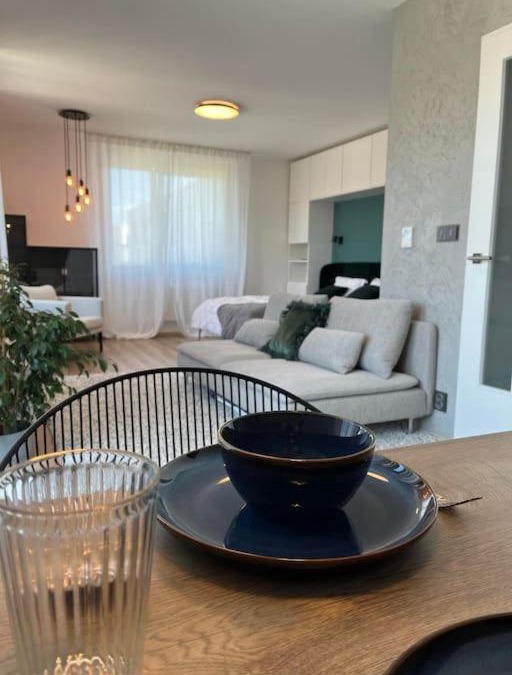 Brno Apartment | Luxury Flat in Brno GreeN SoHo