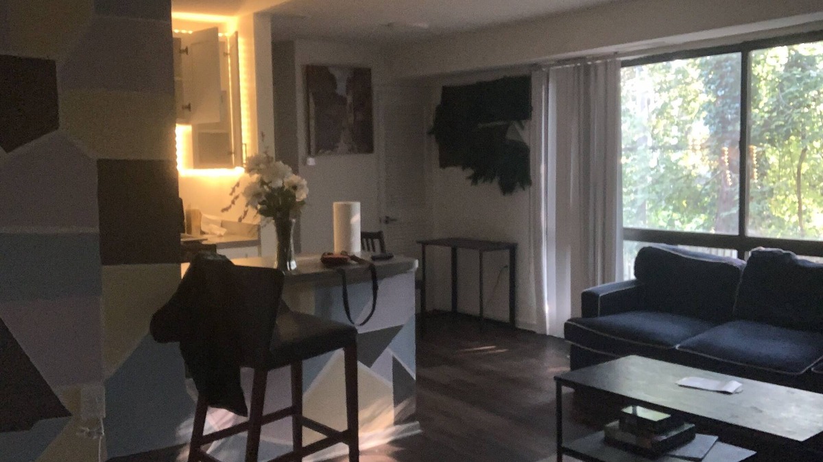 Mount Pleasant Condo | luxury fully renovated condo (events allowed