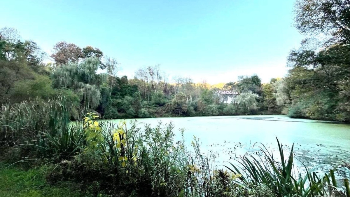 Spring Church House | Luxury Hideaway at Serenity Acres