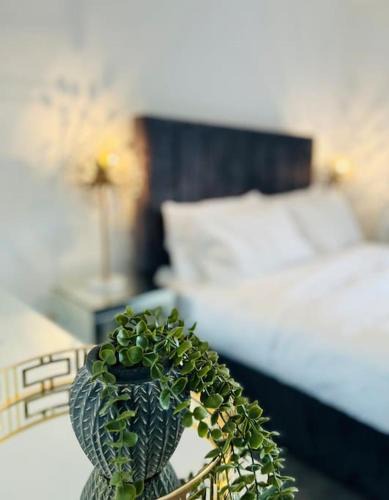 Canton Apartment | Luxury Home 2bed City Centre