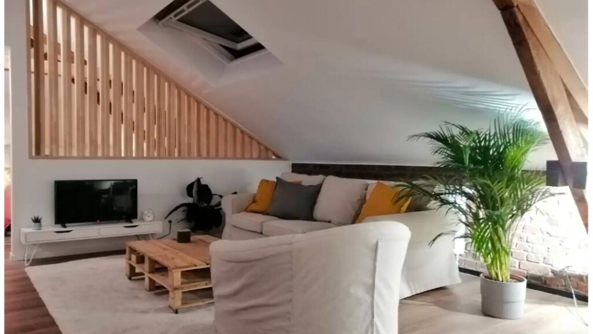 Namur Apartment | Luxury Loft in a 1932 "Maison de maitre"