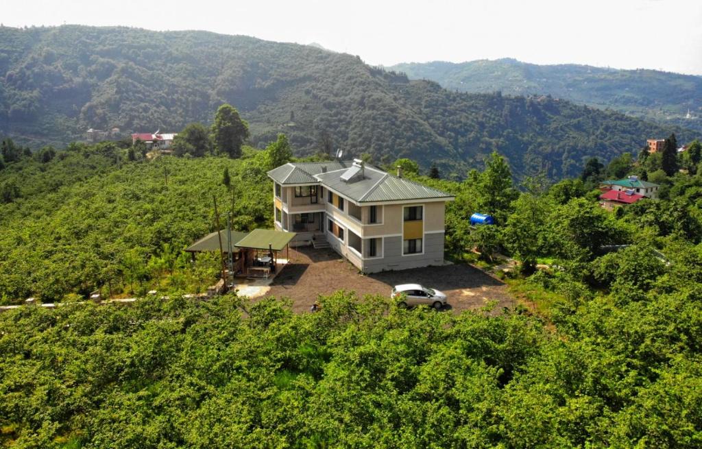 Trabzon Villa | Luxury Nature Life Villa