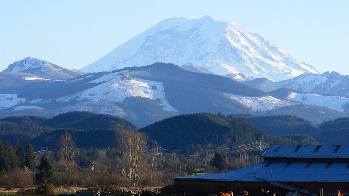 Tacoma House | Luxury near Gateway to Mt Rainier and National Forests. Veteran Owned.