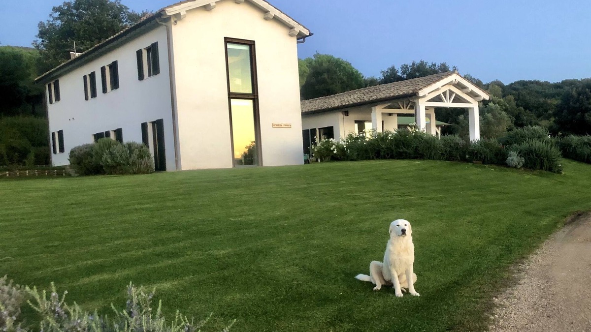 Capalbio Cottage | Luxury villa in Tuscany to Capalbio with 19 hectares of park