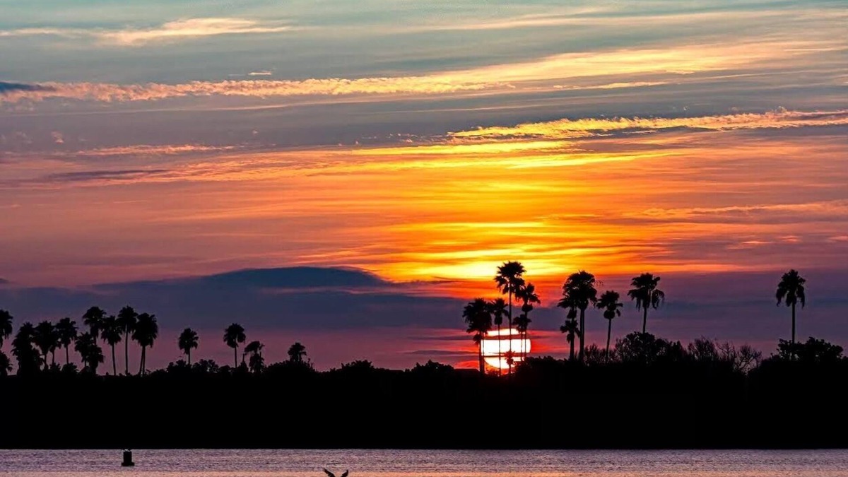 Bouchelles Island Condo | Luxury Waterfront Condo on Bouchelle Island NSB