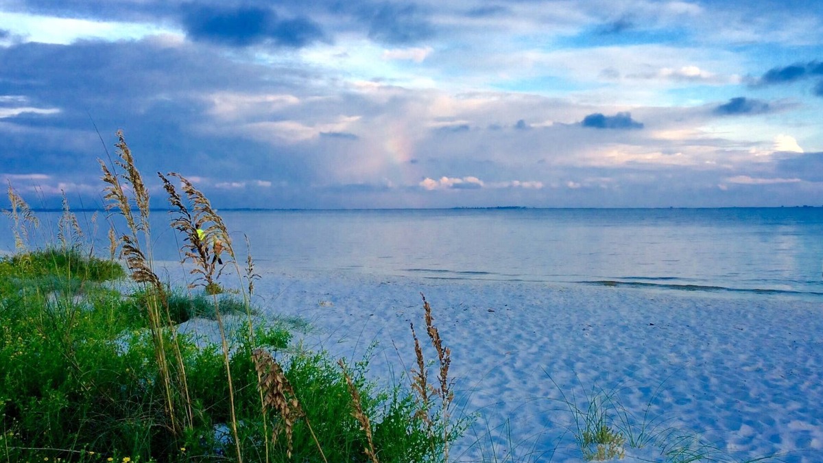 Carrabelle Condo | Luxury WATERFRONT condo overlooking pool, 5 mins to Dog Island, FREE boat slip.