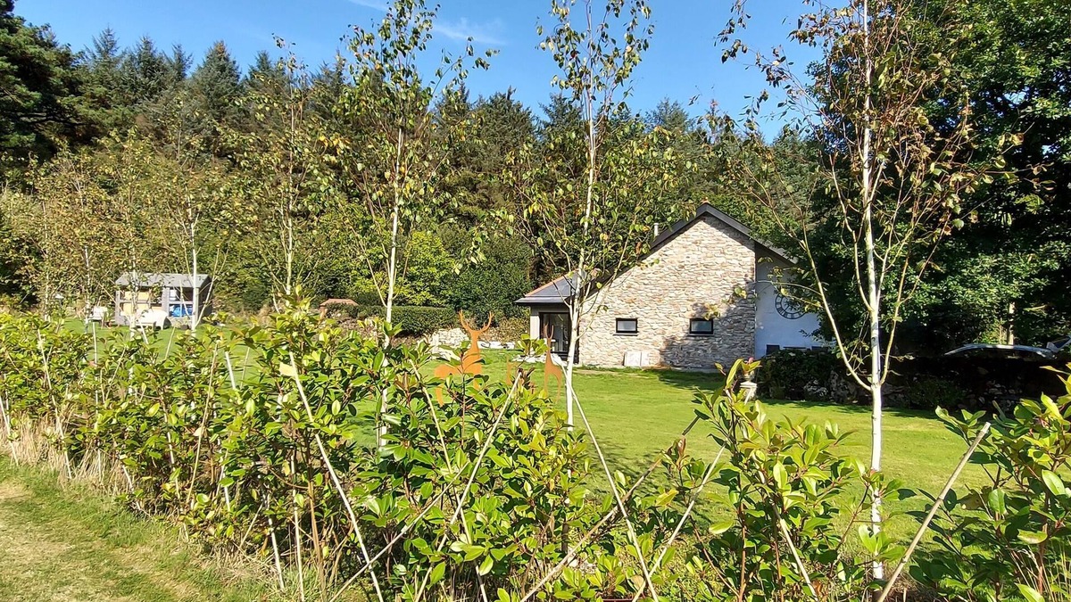 St Wenn House | LUXURY WOODLAND RETREAT