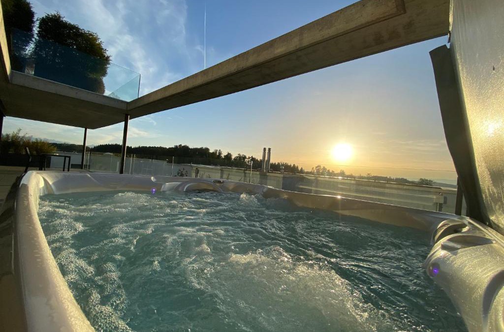Gummenen Apartment | Luxusloft mit warmem Outdoor Whirlpool