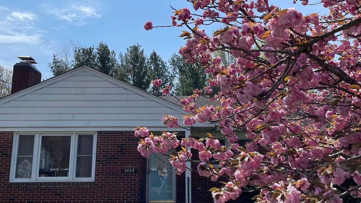 Lynchburg House | Lynchburg Family Living - close to Liberty University and dining options