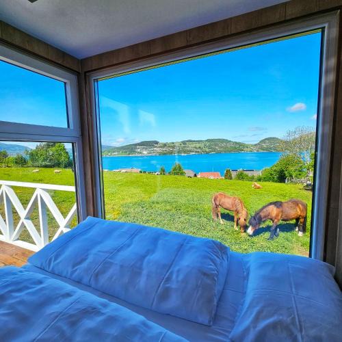 Forsand kommune Apartment | Lysefjorden - Gøysa Gard