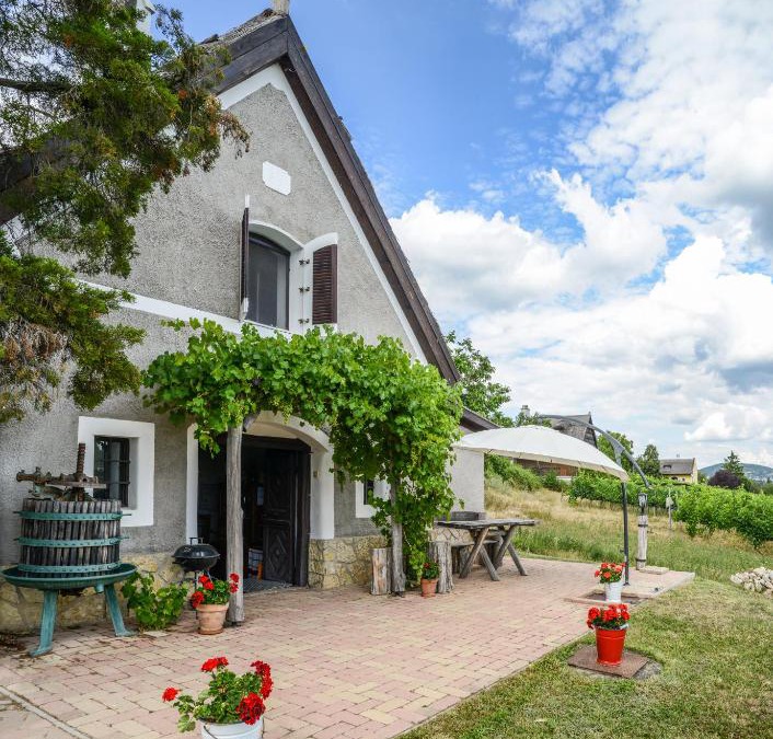 Aszofo House | Máli Pince