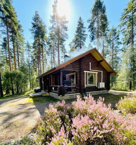 Tammela House | Mökki saunalla mäntymetsässä
