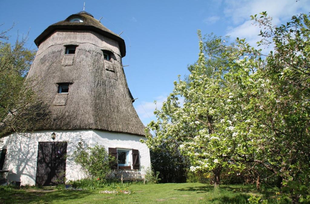 Muritz House | Mühle Beckenkrug
