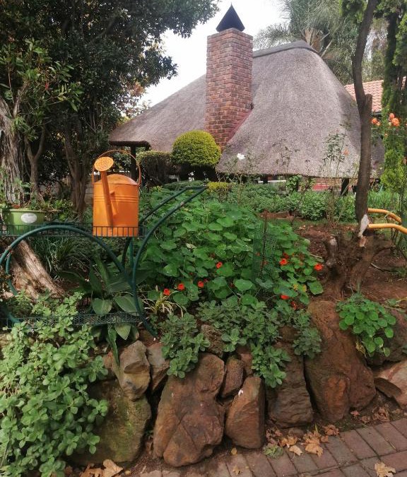 Greater Johannesburg Metropolitan Area Apartment | M &M Guest Cottage