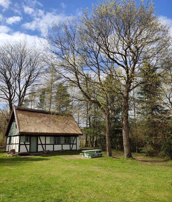 Linia House | Małanka - kaszubska chëcz