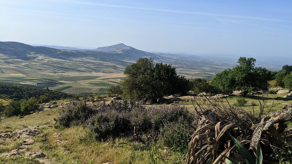 Volubilis House | For a better understanding of ecological agriculture.
