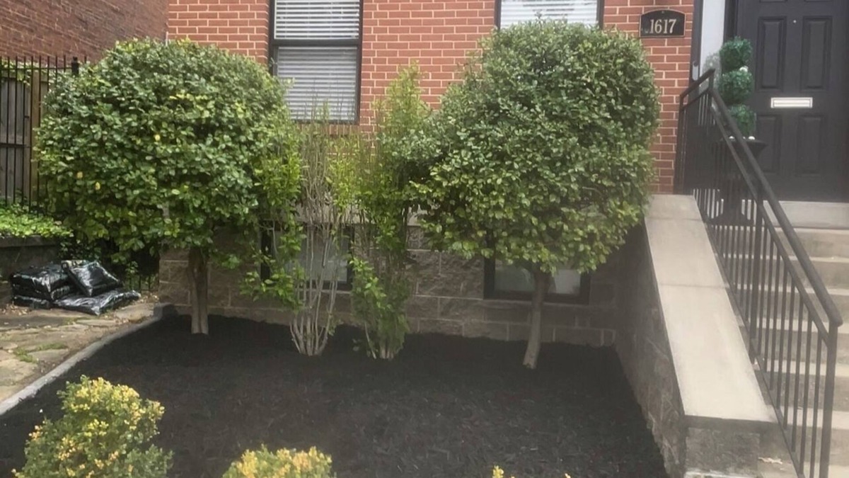 Near Southside House | Ma Maison Soulard PRIME Location!