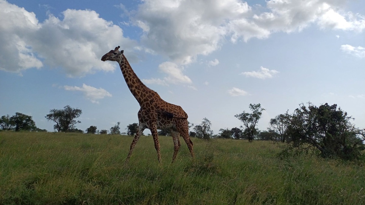 Embakasi Cottage | Maanzoni Tented Cottage African Wildlife Estate