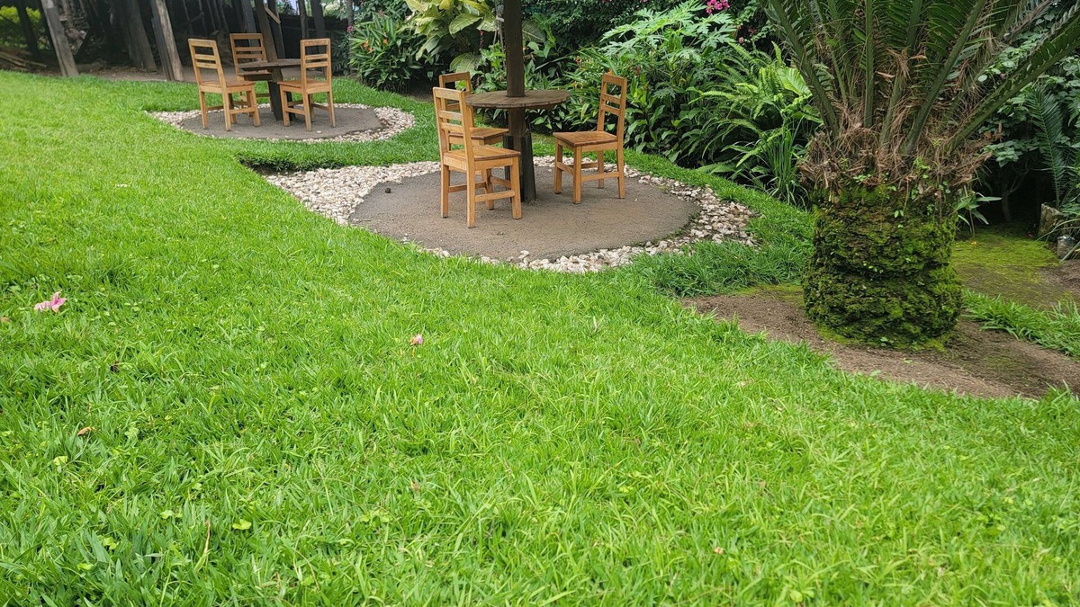 Gisenyi Bed & Breakfast | Maddy's Kitchen and Accomodation