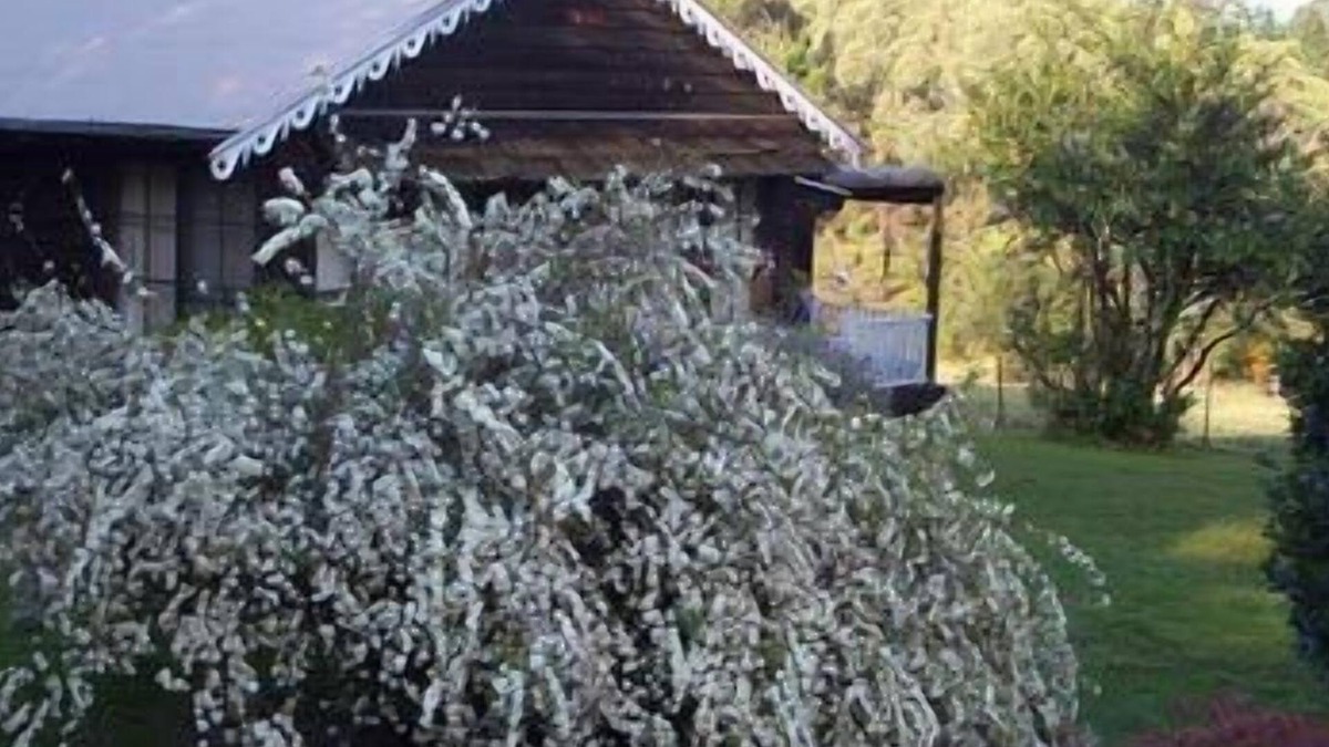 Kurrajong Heights Cottage | Madison's Mountain Retreat