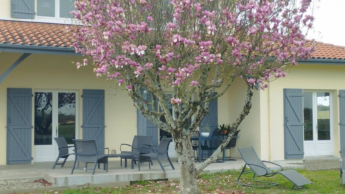 Tartas House | Madroles - Tartas - Gîte
