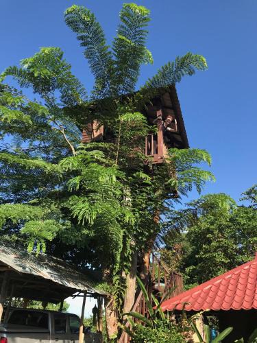 Mae Chan House | Mae Chan Treehouse with swimming pool