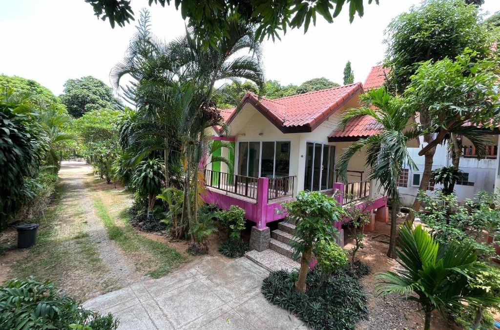 Lamai City Center House | Mae Somboon House