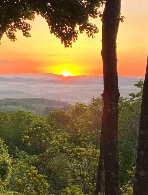 Blue Ridge Apartment | Mae’s Cottage in the Clouds