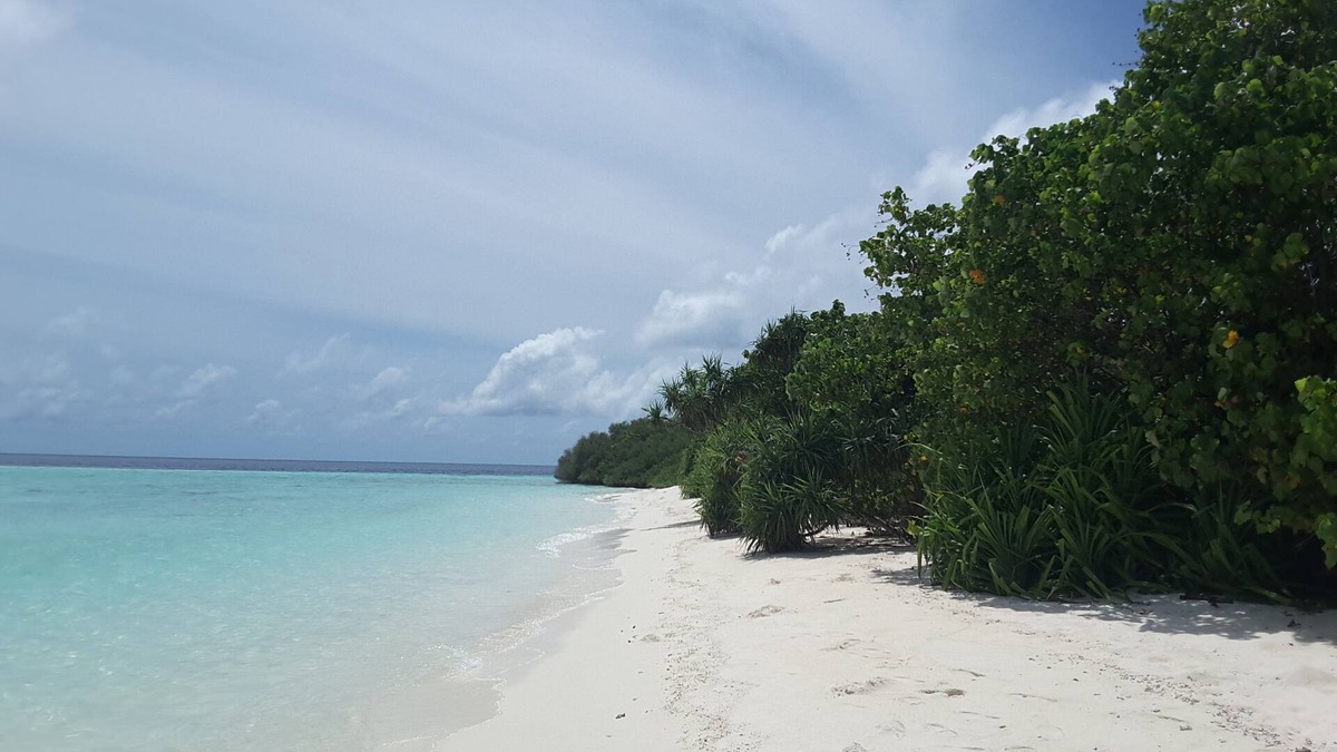 Felidhoo House | Magic Life Guest House